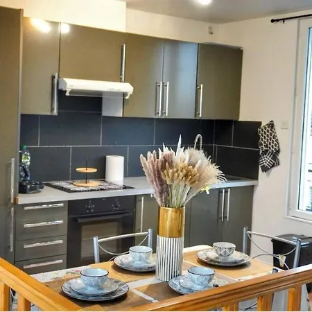 Tresjoli Duplex A Coeur Drancy